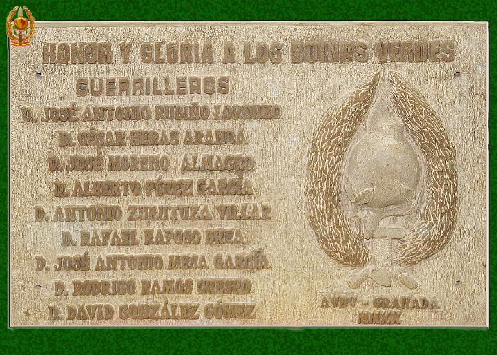 Patrona y Navidad 2019 (25).jpg